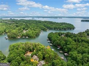 8190 Old Mill Dr, Gainesville, GA 30506 - aerial view of a large body of water and a heavily wooded area