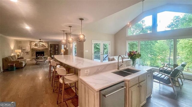 kitchen featuring a sink, dark wood-style floors, open floor plan, and dishwasher
