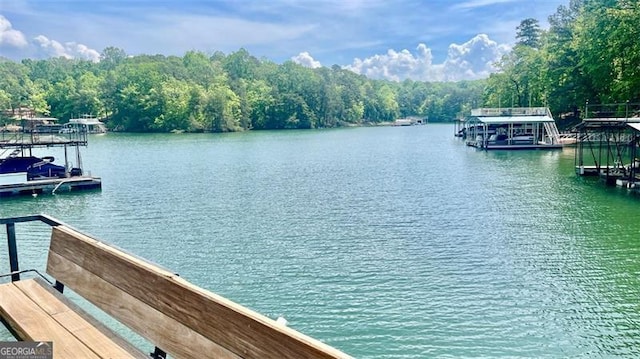 view of dock with a water view