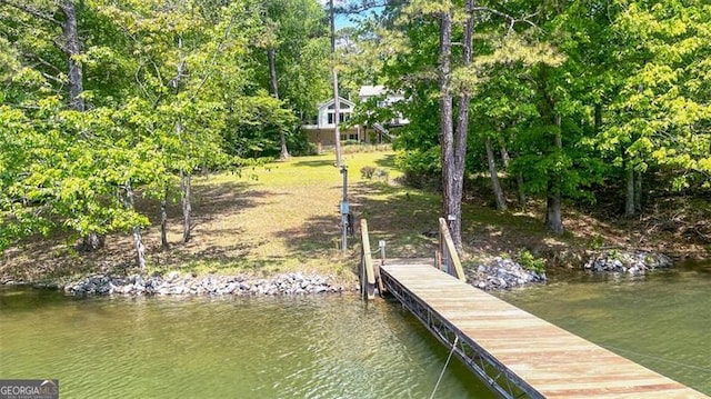 dock area with a water view