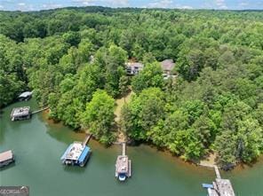 8190 Old Mill Dr, Gainesville, GA 30506 - bird's eye view of a heavily wooded area and a nearby body of water