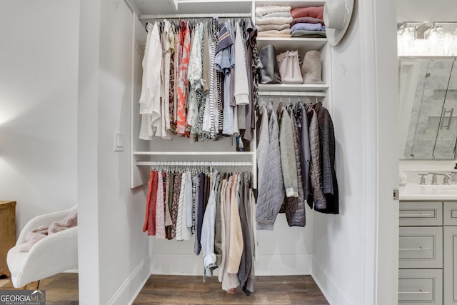view of closet