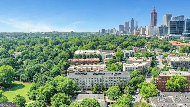 aerial view of a skyline view