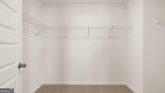 252 Kennelsman Dr, Griffin, GA 30224 - walk in closet featuring carpet flooring