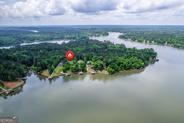 945 Sandy Run Dr, Sparta, GA 31087 - aerial view featuring a water view and a forest view
