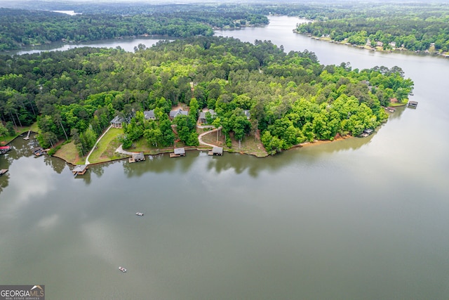 945 Sandy Run Dr, Sparta, GA 31087 - aerial view featuring a water view and a view of trees