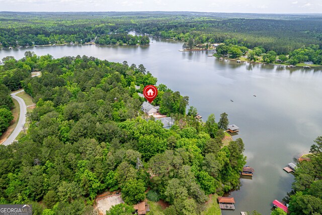 945 Sandy Run Dr, Sparta, GA 31087 - birds eye view of property with a water view and a wooded view