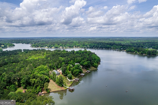 945 Sandy Run Dr, Sparta, GA 31087 - bird's eye view with a water view and a wooded view