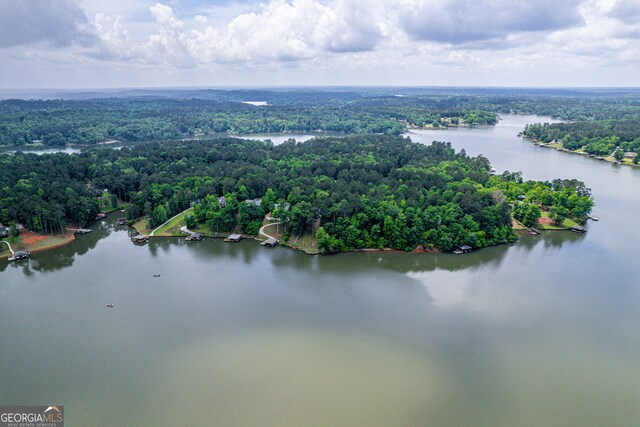 945 Sandy Run Dr, Sparta, GA 31087 - aerial view with a water view and a wooded view