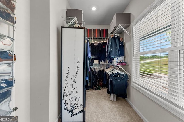 walk in closet featuring light colored carpet