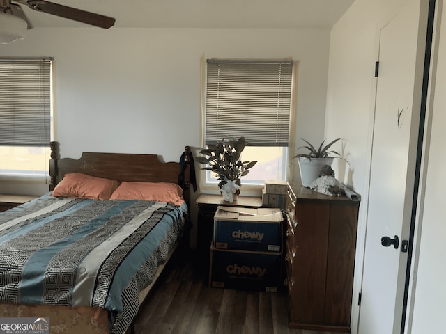 bedroom featuring ceiling fan, wood finished floors, and multiple windows