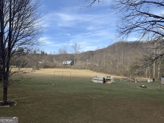 view of yard featuring a forest view