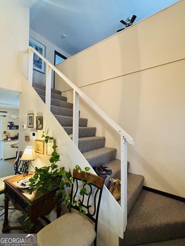stairs featuring carpet flooring