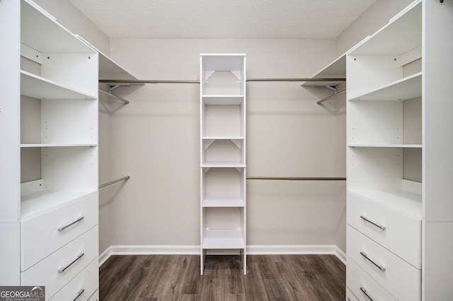 3230 Deer Valley Dr NW, Acworth, GA 30101 - walk in closet featuring dark wood-style floors