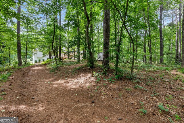 372 River Point Dr, Mcdonough, GA 30252