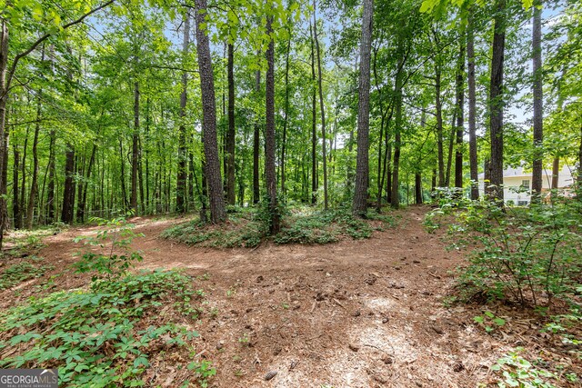 372 River Point Dr, Mcdonough, GA 30252