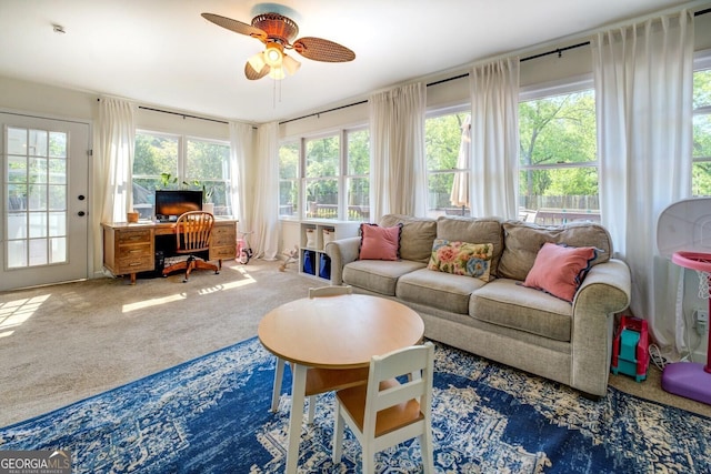 sunroom / solarium with carpet flooring