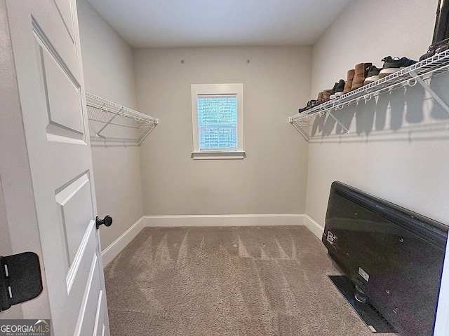 walk in closet with carpet flooring