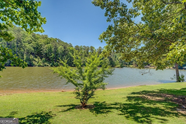 2787 Turtle Cove Trwy, Monticello, GA 31064 - water view