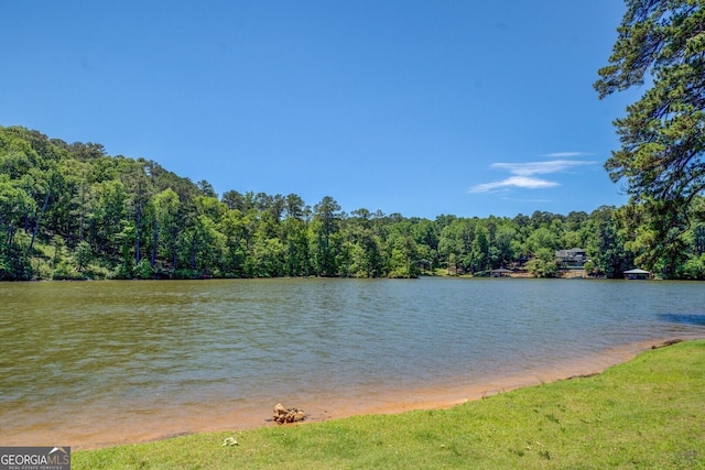 2787 Turtle Cove Trwy, Monticello, GA 31064 - water view with a heavily wooded area