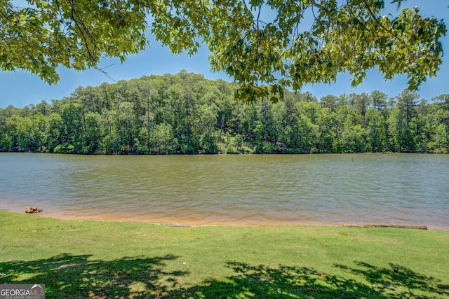 2787 Turtle Cove Trwy, Monticello, GA 31064 - water view featuring a forest