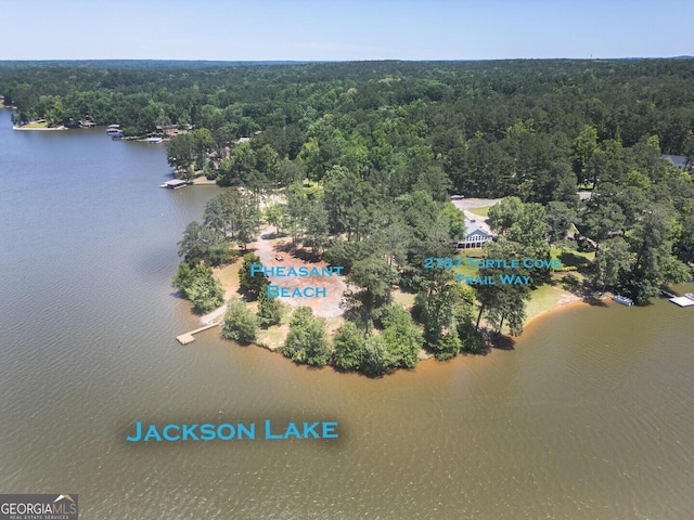 2787 Turtle Cove Trwy, Monticello, GA 31064 - aerial view of a heavily wooded area and a nearby body of water