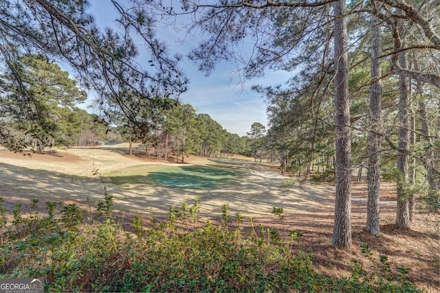 2787 Turtle Cove Trwy, Monticello, GA 31064 - view of yard