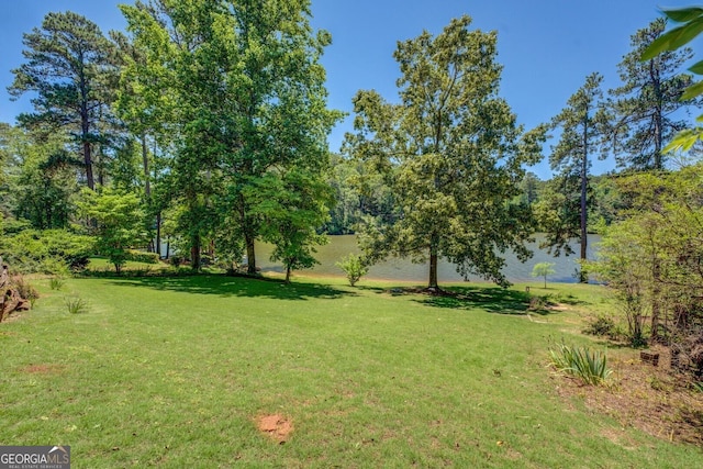2787 Turtle Cove Trwy, Monticello, GA 31064 - view of grassy yard
