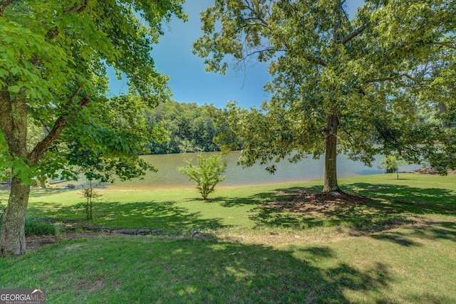 2787 Turtle Cove Trwy, Monticello, GA 31064 - view of green lawn featuring a water view