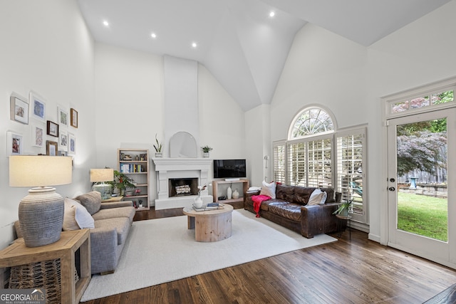 4503 Woodhaven NE, Marietta, GA 30067 - living area featuring high vaulted ceiling, wood finished floors, a fireplace, and recessed lighting