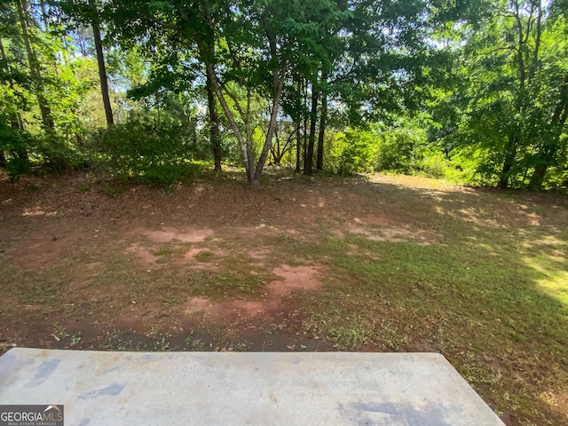 30 Trelawney Ct, Covington, GA 30016 - view of yard