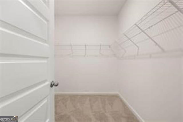 1406 Adirondac Way, Bonaire, GA 31005 - walk in closet with carpet floors