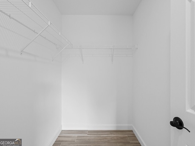spacious closet featuring wood finished floors