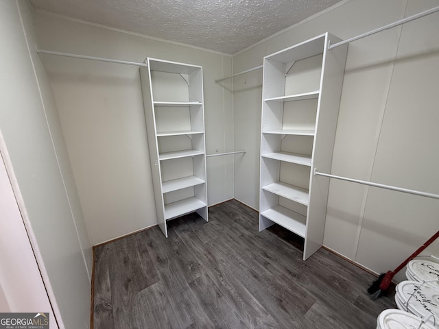 spacious closet with dark wood-type flooring
