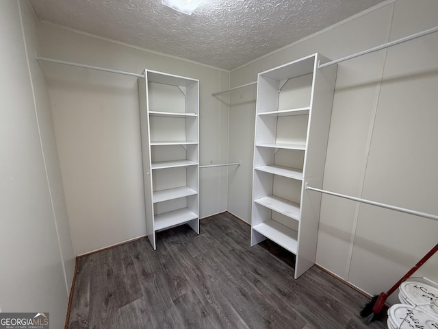 walk in closet with dark wood-type flooring