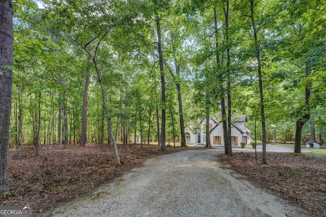 view of front of property with curved driveway and a forest view