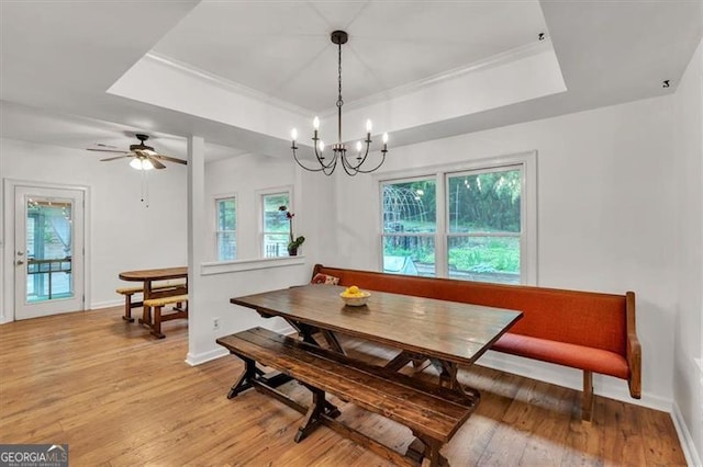 143 Navajo Trl, Rydal, GA 30171 - dining space with a tray ceiling, light wood finished floors, baseboards, a chandelier, and ceiling fan