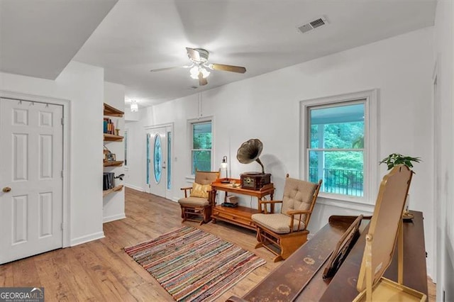 143 Navajo Trl, Rydal, GA 30171 - living area with a ceiling fan and wood finished floors