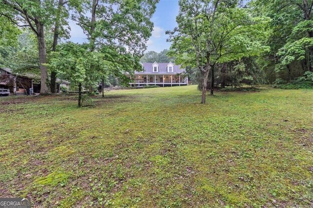 143 Navajo Trl, Rydal, GA 30171 - view of green lawn