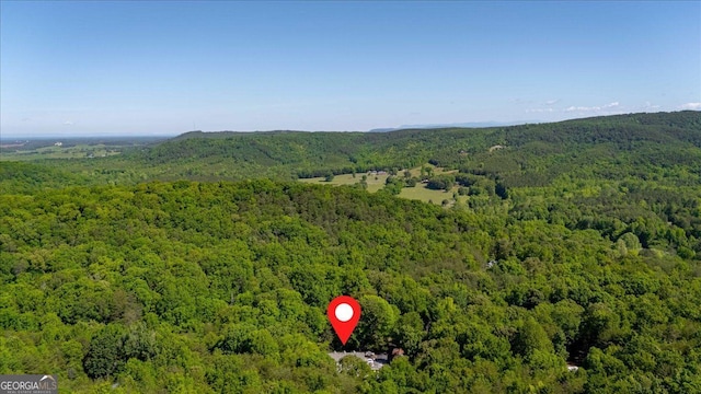 143 Navajo Trl, Rydal, GA 30171 - aerial view of a heavily wooded area