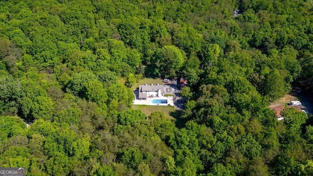 143 Navajo Trl, Rydal, GA 30171 - bird's eye view of a heavily wooded area