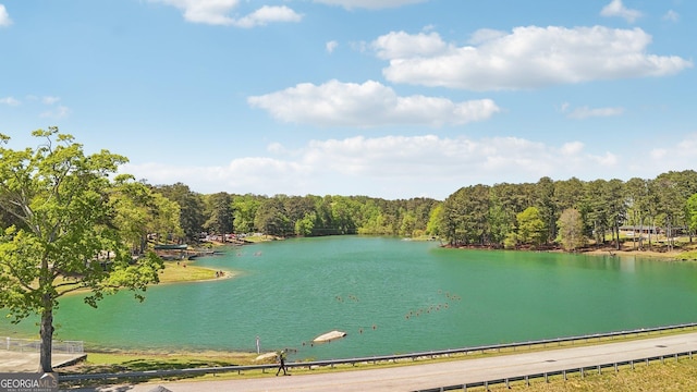 water view with a wooded view