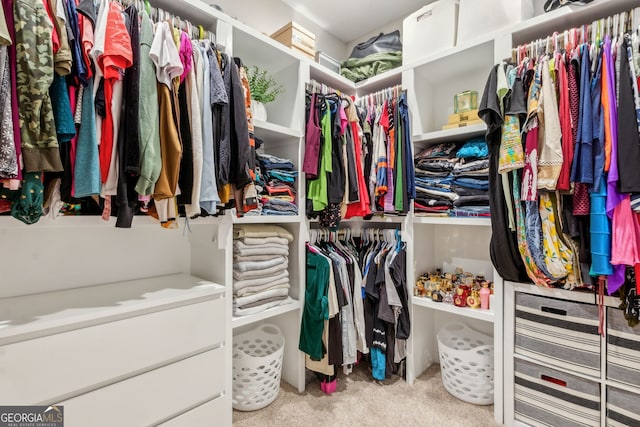 107 Amanda Trce, Kingsland, GA 31548 - walk in closet with carpet floors