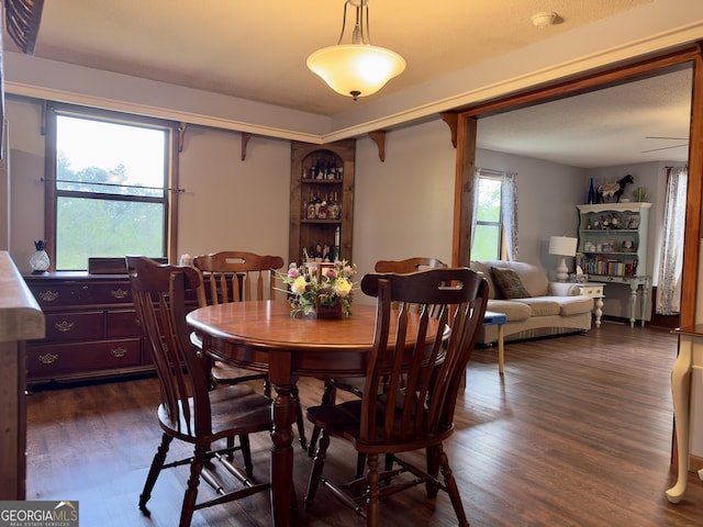 1685 Ridgeway Rd, Lafayette, GA 30728 - dining space with dark wood-type flooring