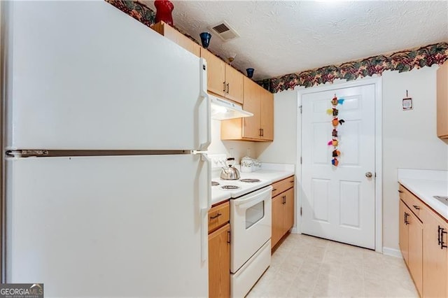 10202 Fairington Ridge Cir, Lithonia, GA 30038 - kitchen with visible vents, light brown cabinetry, light countertops, under cabinet range hood, and white appliances
