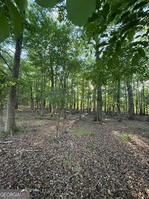LOT2SOUTHOF Redwine Rd Lot 2South Of 1585, Fayetteville, GA 30215