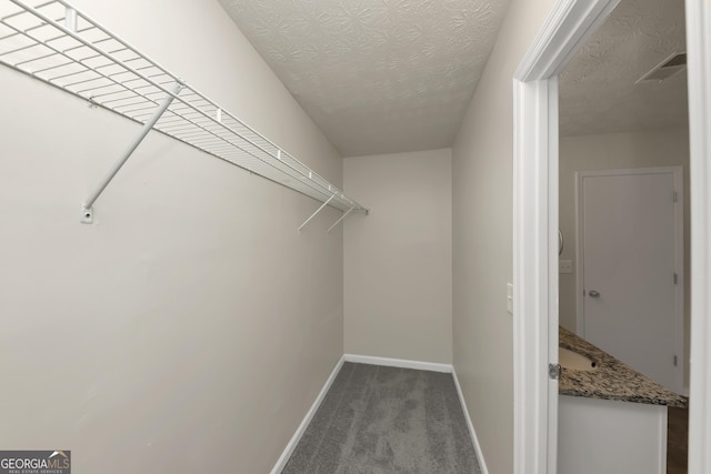 spacious closet featuring carpet flooring and visible vents