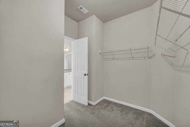 walk in closet featuring carpet flooring and visible vents