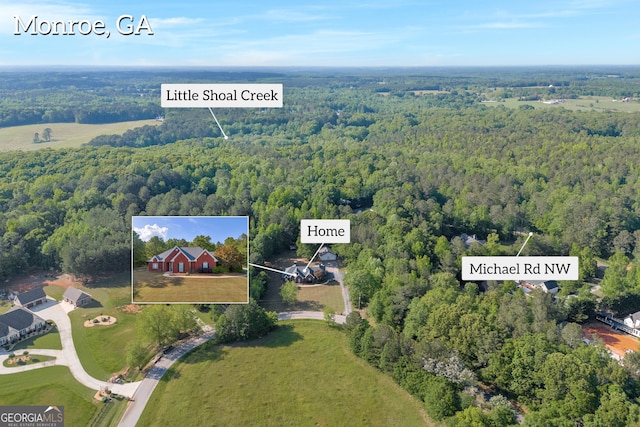 drone / aerial view featuring a view of trees