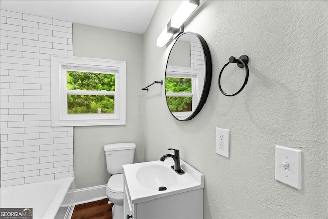 bathroom featuring toilet, wood finished floors, and vanity